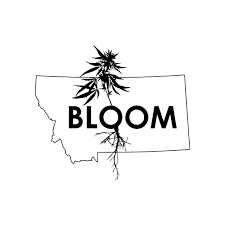 Bloom